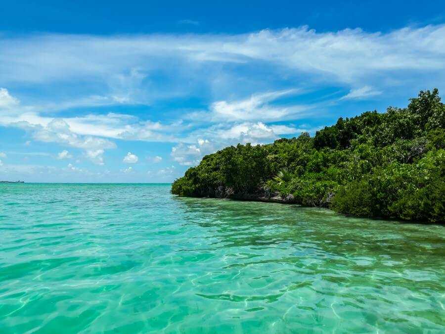 a small island covered with lush greenery surrounded by emerald waters