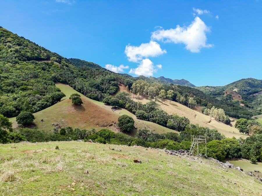 Lush forest and hills at the Vallée de Ferney in Mauritius