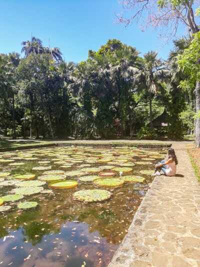 a woman sitting next to a pond with giant water lilies at Pamplemousses Botanic Gardens Mauritius