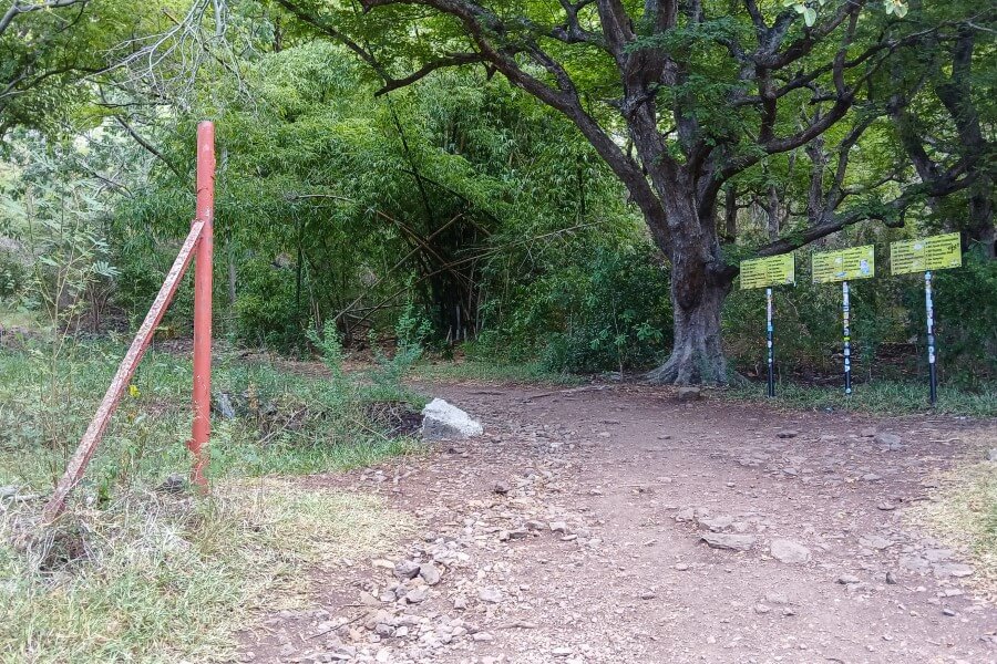 path leading to the summit of the mountain