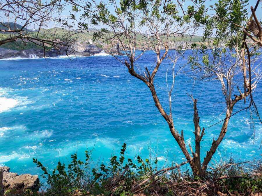 view of the ocean surrounded by trees and cliffs in nusa penida bali