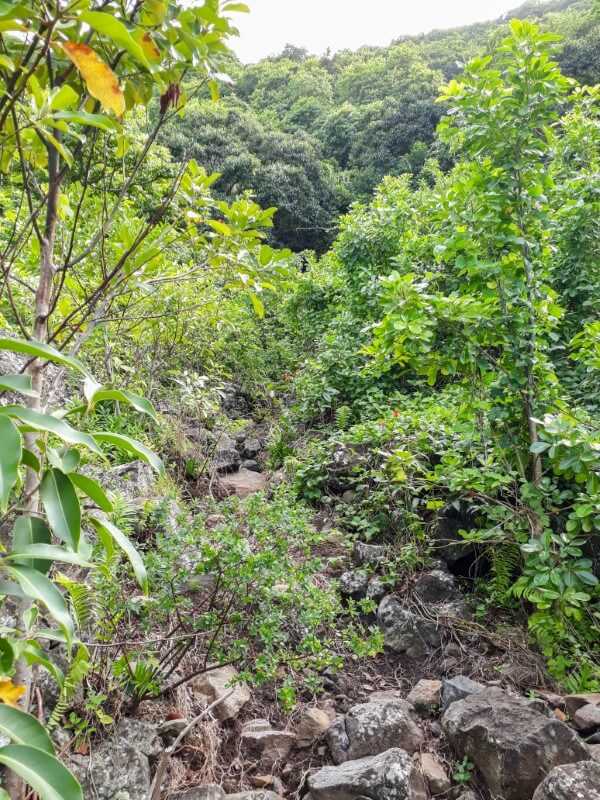 rocky trail leading to the summit