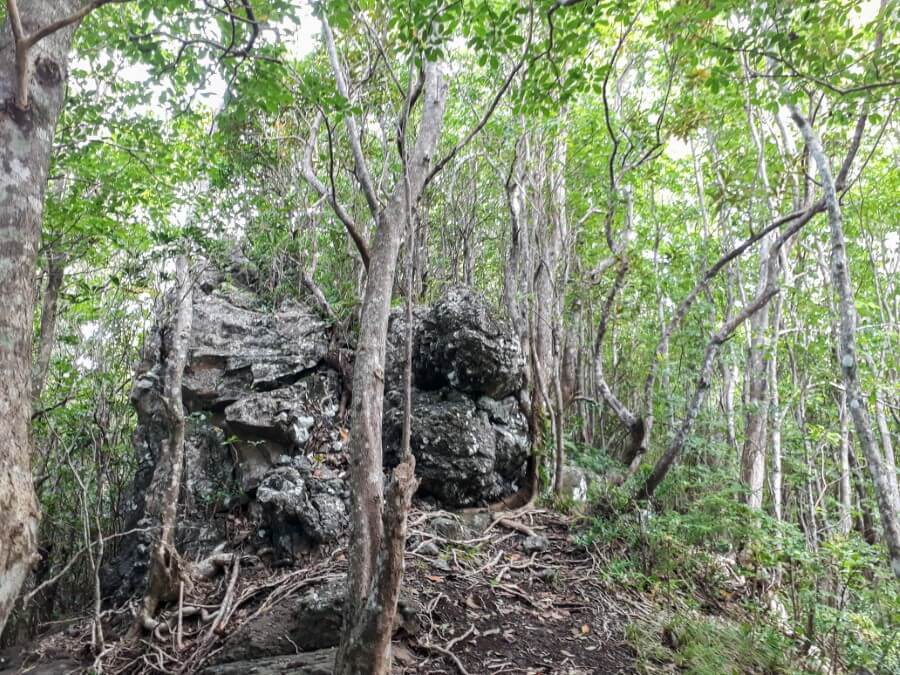 a huge boulder along the Lion Mountain hiking trail