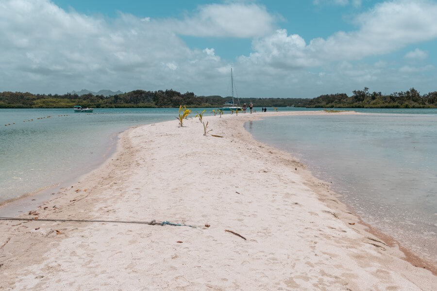 a sandbar with small palm trees on ile aux cerfs mauritius