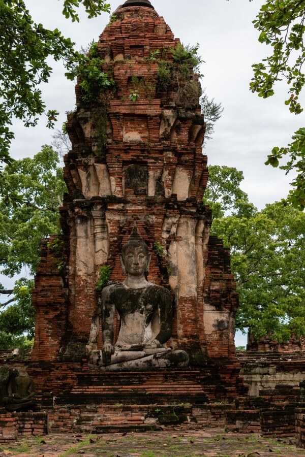 a buddha statue in front of a pagoda in ayutthaya 