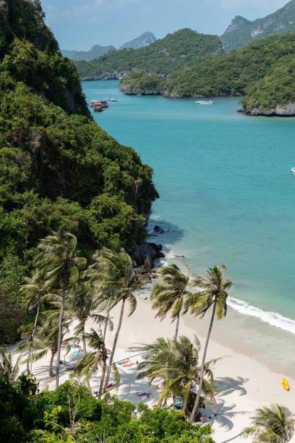 aerial view of a white sand beach with tall palm trees